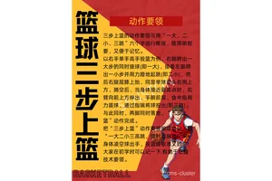 如何使用篮球训练器材进行全身锻炼:打造更强健的体魄