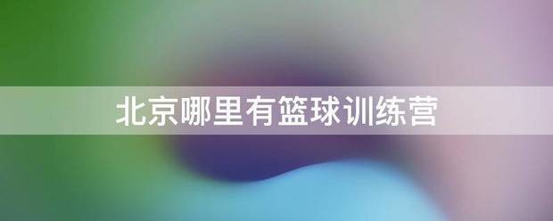 大兴巅峰篮球训练营费用